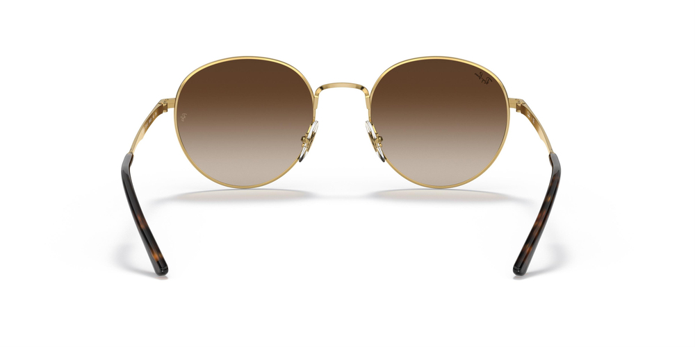 RAY-BAN  3681 001/13 50 UNİSEX Güneş gözlükleri