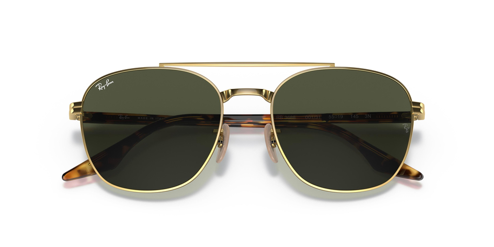 Ray-Ban 3688 001/31 55 UNİSEX Güneş gözlükleri