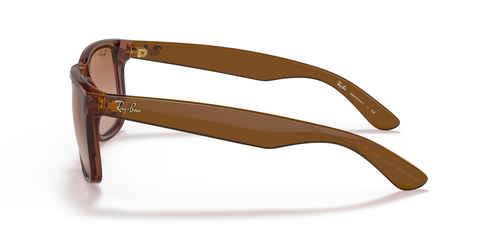 RAY-BAN  4165 659413 55 UNİSEX Güneş gözlükleri