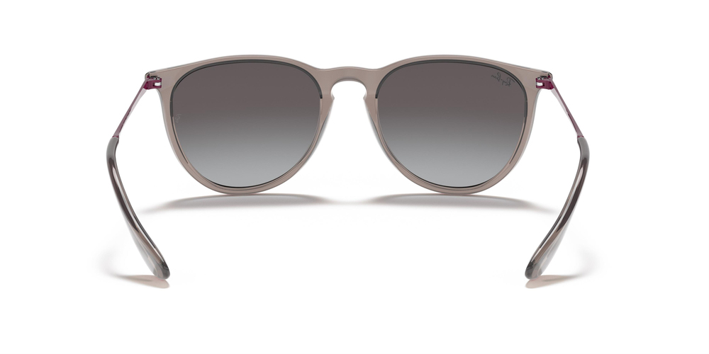 RAY-BAN  4171 65138G 54 UNİSEX Güneş gözlükleri