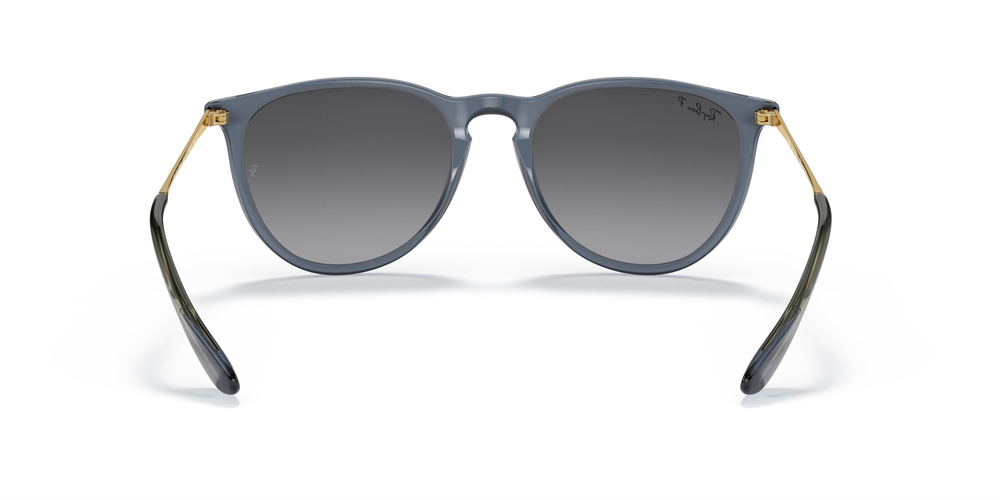 RAY-BAN  4171 6592T3 54 UNİSEX Güneş gözlükleri