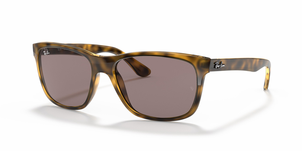 RAY-BAN  4181 710/7N 57 UNİSEX Güneş gözlükleri