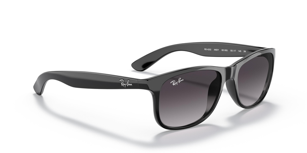Ray-Ban  4202 601/8G 55 MEN Güneş gözlükleri