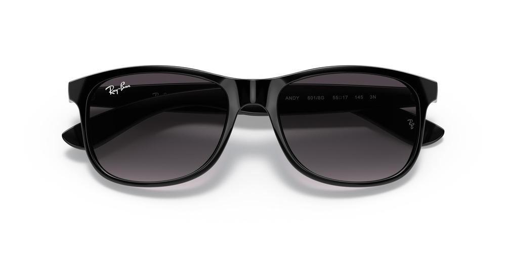 Ray-Ban  4202 601/8G 55 MEN Güneş gözlükleri