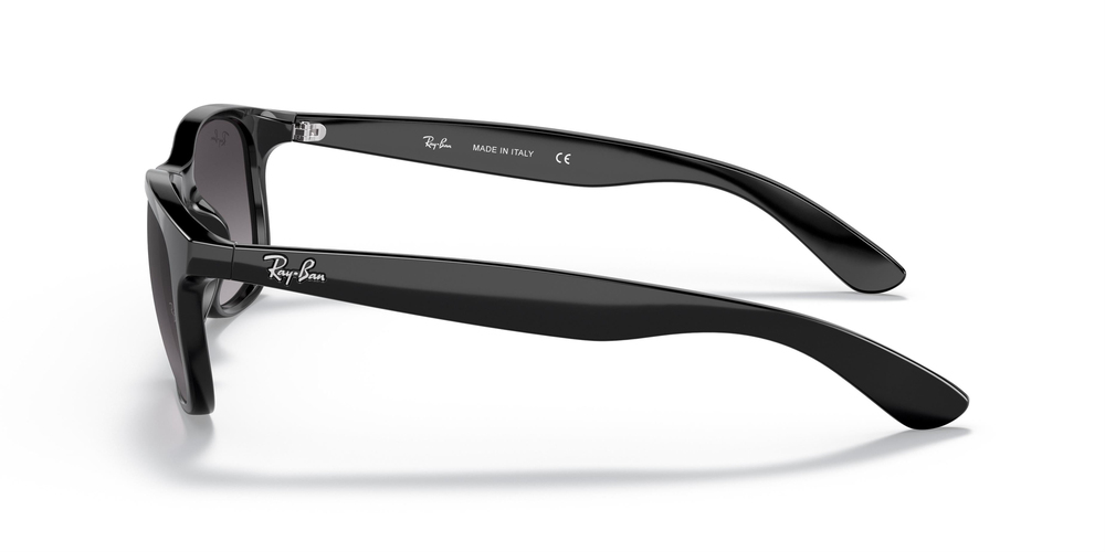 Ray-Ban  4202 601/8G 55 MEN Güneş gözlükleri