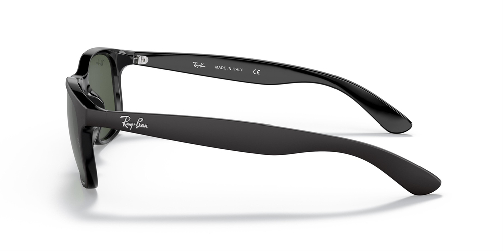 RAY-BAN 4202 606971 55 ERKEK Güneş gözlükleri