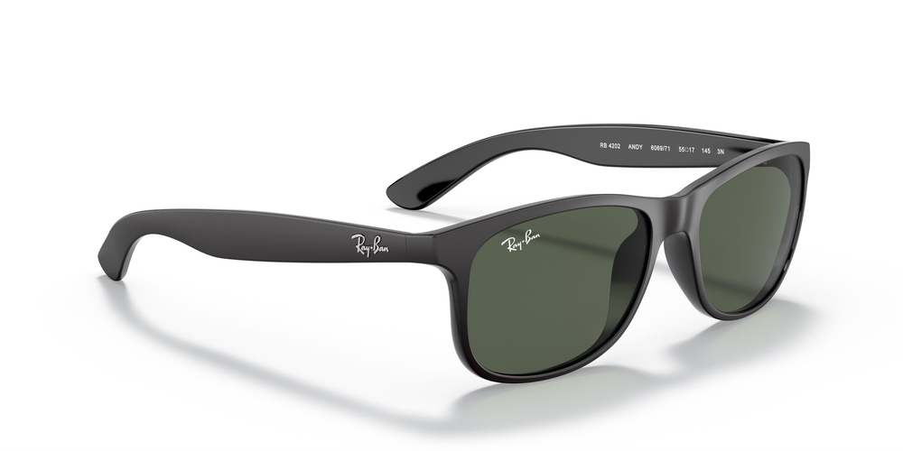 RAY-BAN 4202 606971 55 ERKEK Güneş gözlükleri