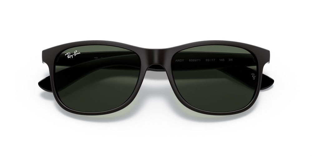 RAY-BAN 4202 606971 55 ERKEK Güneş gözlükleri