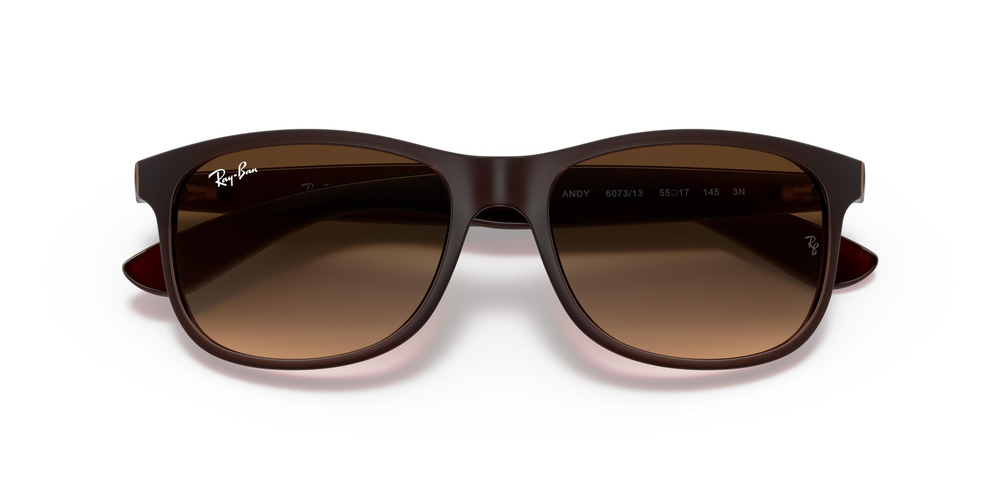 RAY-BAN 4202 607313 55 ERKEK Güneş gözlükleri