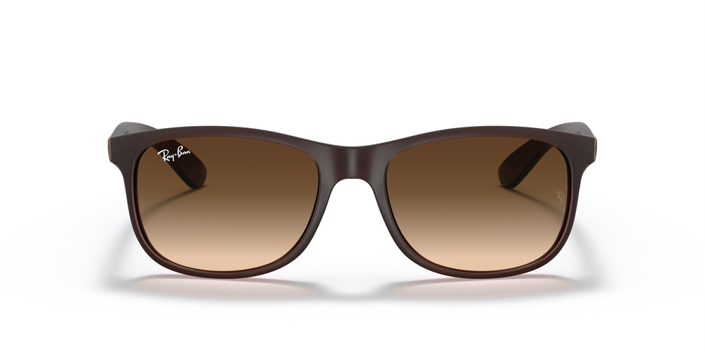 RAY-BAN 4202 607313 55 ERKEK Güneş gözlükleri