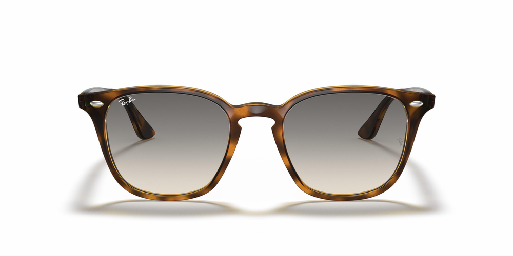 RAY-BAN  4258 710/11 50 UNİSEX Güneş gözlükleri