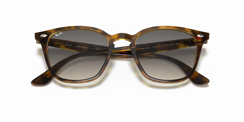 RAY-BAN  4258 710/11 50 UNİSEX Güneş gözlükleri