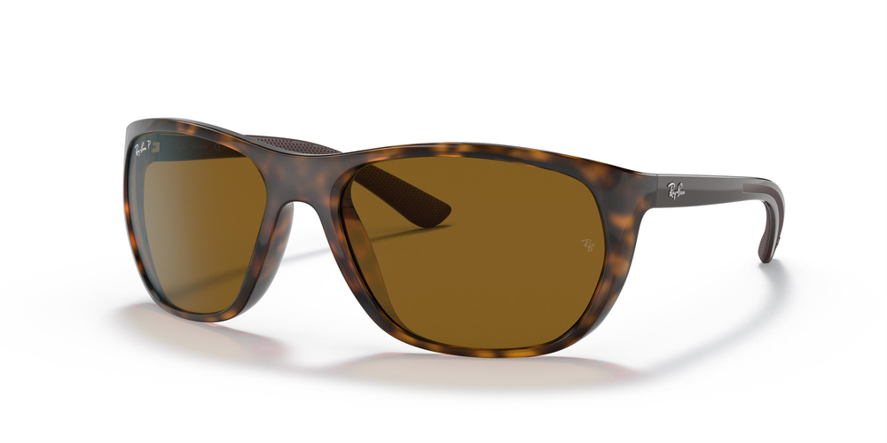 Ray-Ban  RB 4307 710/83 61 MEN Güneş gözlükleri