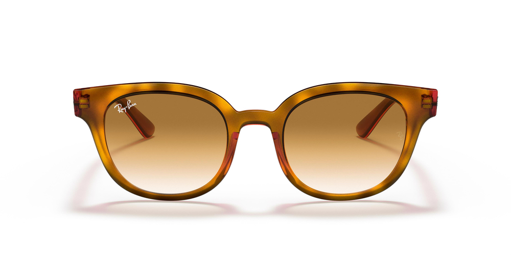 Ray-Ban 4324 647551 50 UNİSEX Güneş gözlükleri