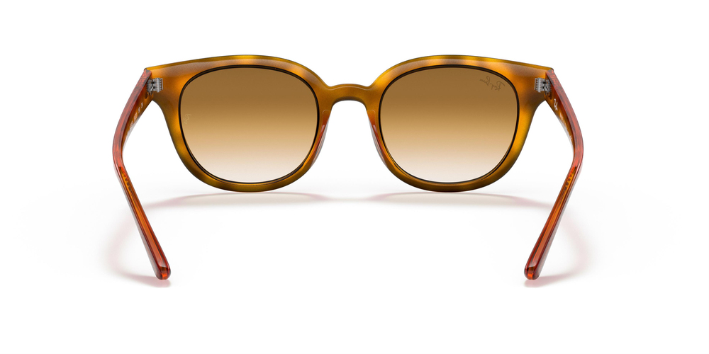 Ray-Ban 4324 647551 50 UNİSEX Güneş gözlükleri