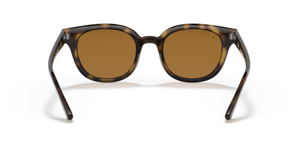 Ray-Ban 4324 710/83 50 UNİSEX Güneş gözlükleri