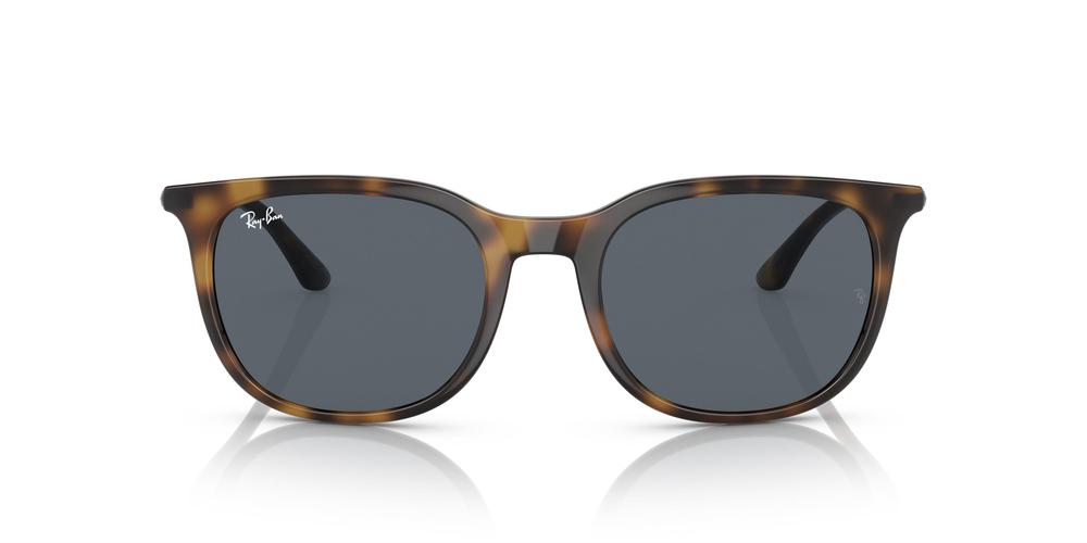 RAY-BAN  4386 710/R5 54 UNİSEX Güneş gözlükleri