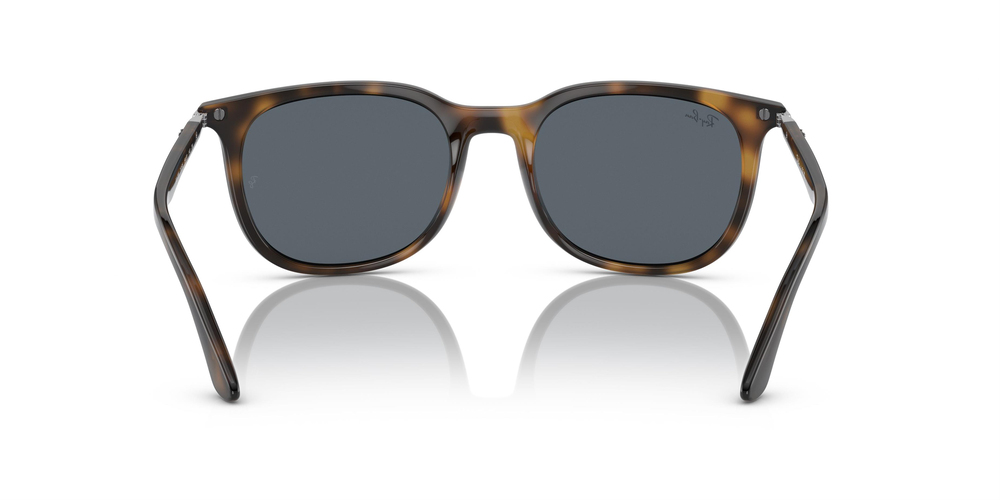 RAY-BAN  4386 710/R5 54 UNİSEX Güneş gözlükleri