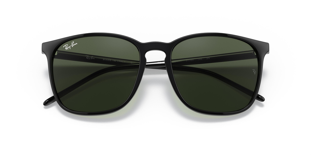 RAY-BAN  4387 601/71 56 ERKEK Güneş gözlükleri