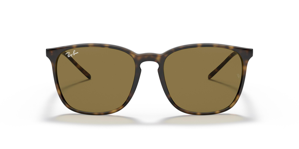 Ray-Ban  RB 4387 710/73 56 UNİSEX Güneş gözlükleri