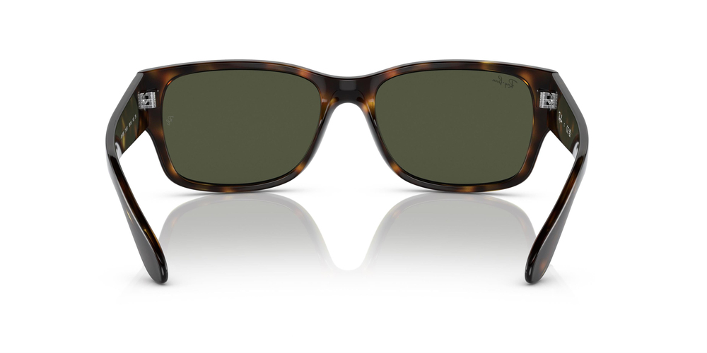 RAY-BAN 4388 710/31 55 UNİSEX Güneş gözlükleri