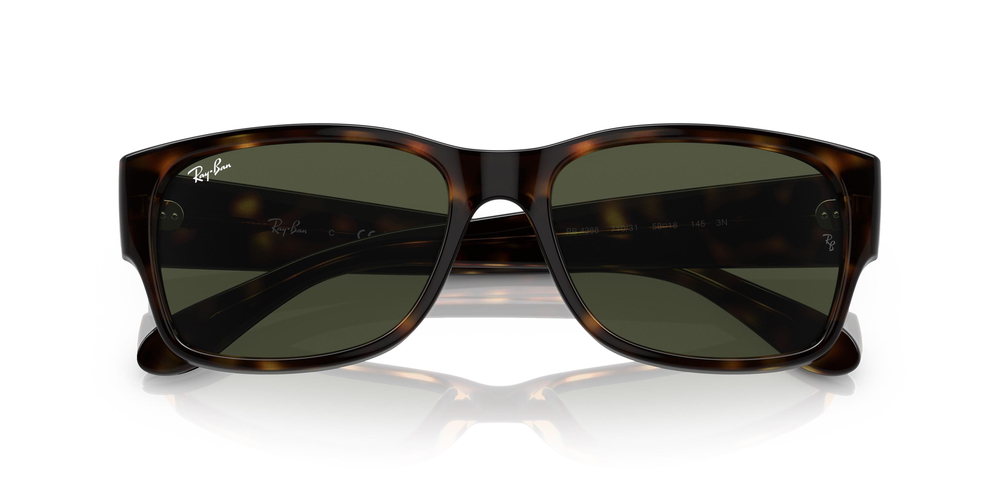 RAY-BAN 4388 710/31 55 UNİSEX Güneş gözlükleri