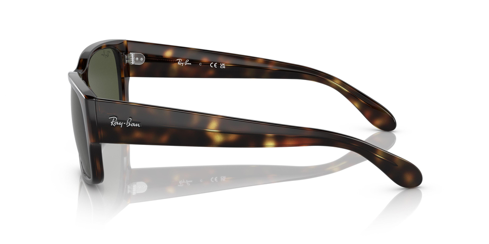 RAY-BAN 4388 710/31 58 UNİSEX Güneş gözlükleri