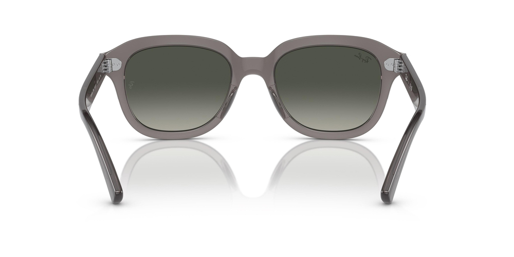 RAY-BAN 4398 667571 51 WOMEN Güneş gözlükleri
