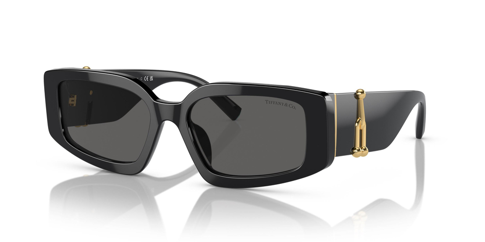 TİFFANY SUNGLASSES 0TF4208U 8001S4 54 KADIN Güneş gözlükleri
