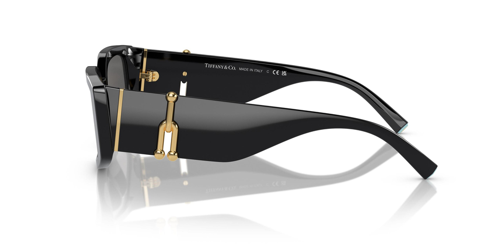 TİFFANY SUNGLASSES 0TF4208U 8001S4 54 KADIN Güneş gözlükleri