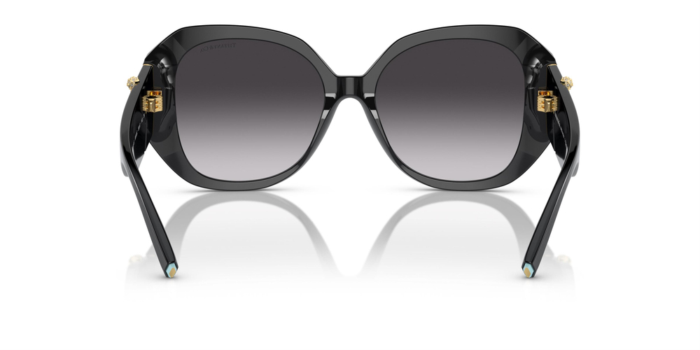 TİFFANY SUNGLASSES 0TF4207B 80013C 55 KADIN Güneş gözlükleri