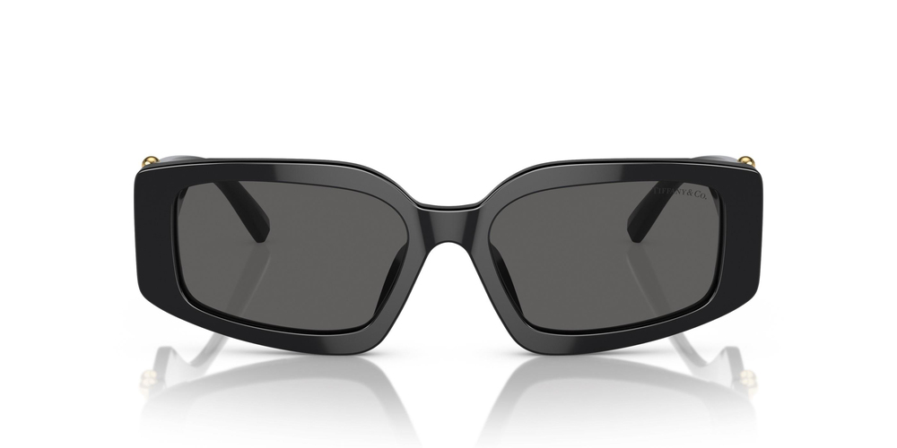 TİFFANY SUNGLASSES 0TF4208U 8001S4 54 KADIN Güneş gözlükleri