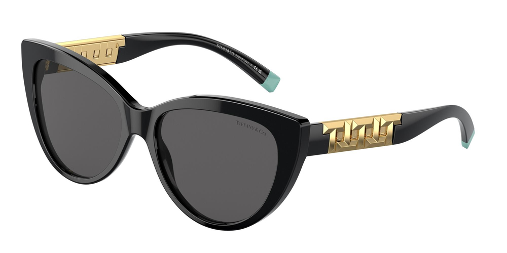 TİFFANY SUNGLASSES 0TF4196 8001S4 56 KADIN Güneş gözlükleri