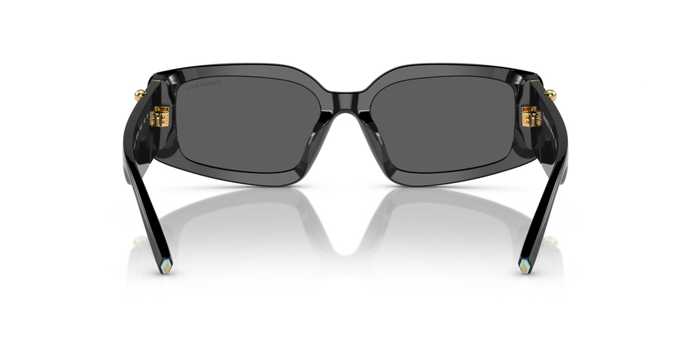 TİFFANY SUNGLASSES 0TF4208U 8001S4 54 KADIN Güneş gözlükleri