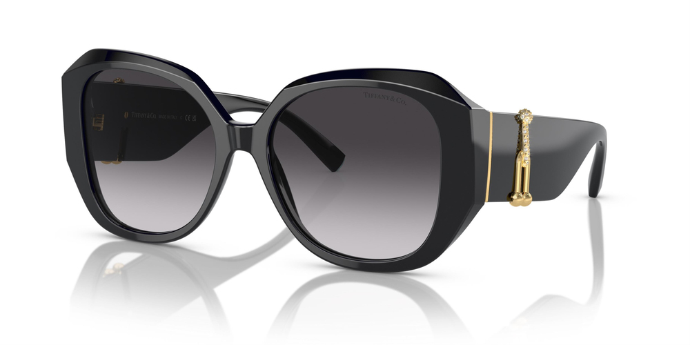 TİFFANY SUNGLASSES 0TF4207B 80013C 55 KADIN Güneş gözlükleri
