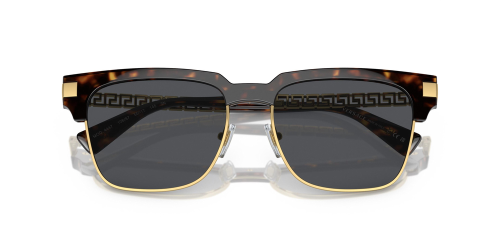 VERSACE 0VE4447 108/87 55 KADIN Güneş gözlükleri