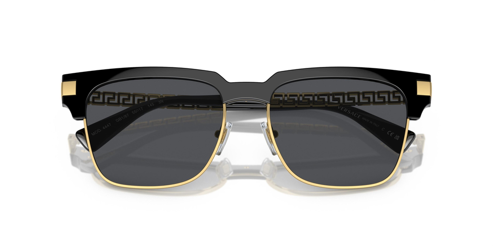 VERSACE 0VE4447 GB1/87 55 KADIN Güneş gözlükleri
