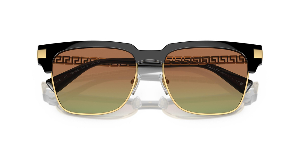 VERSACE 0VE4447 GB1/E8 55 KADIN Güneş gözlükleri