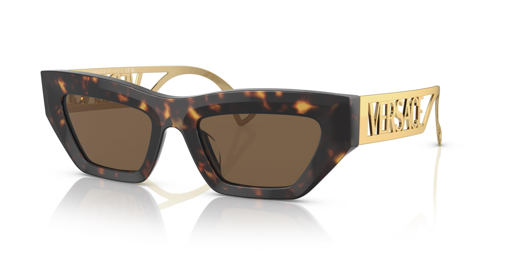 VERSACE 4432U 108/73 53 UNİSEX Güneş gözlükleri