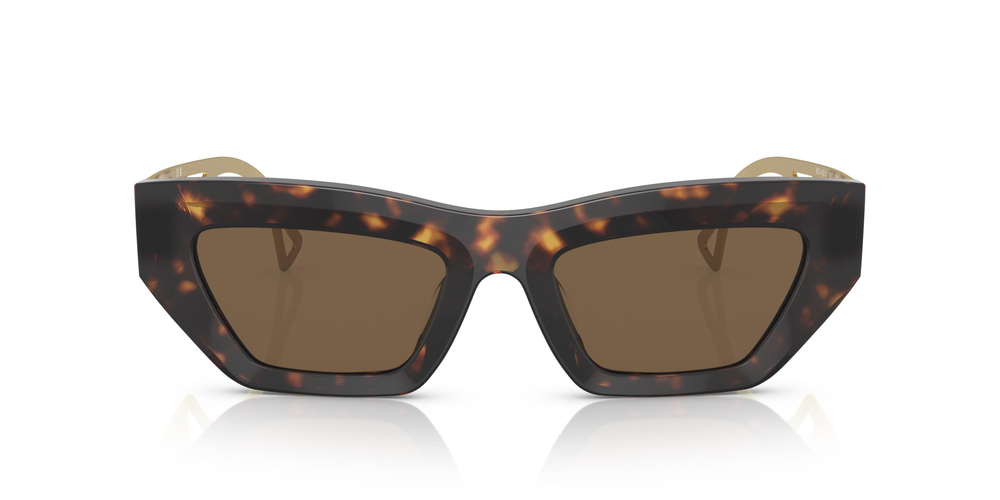 VERSACE 4432U 108/73 53 UNİSEX Güneş gözlükleri