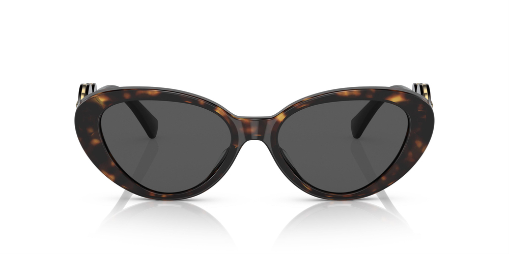 VERSACE 4433U 108/87 54 KADIN Güneş gözlükleri
