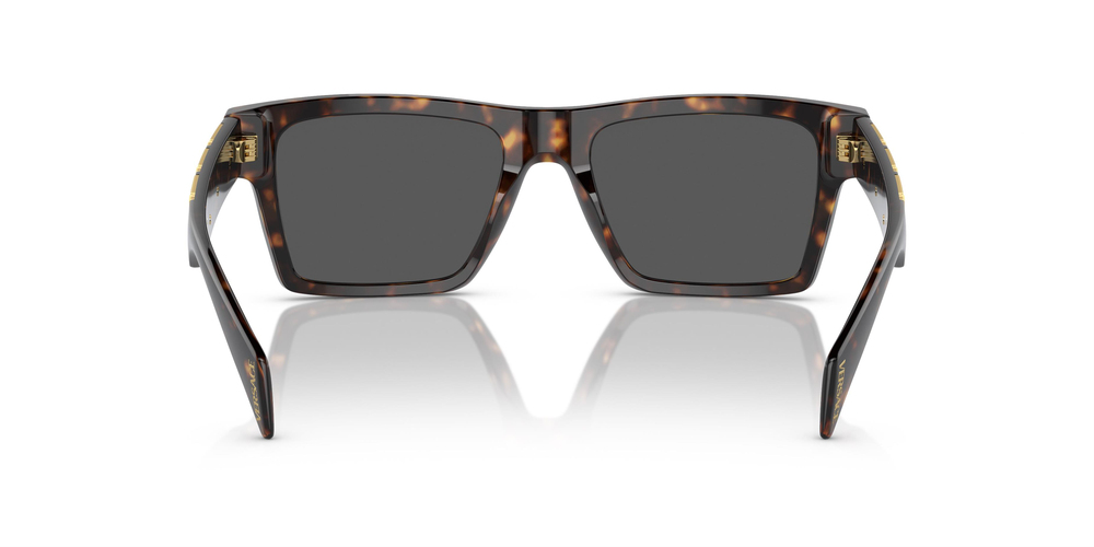 VERSACE 4445 108/87 54 KADIN Güneş gözlükleri