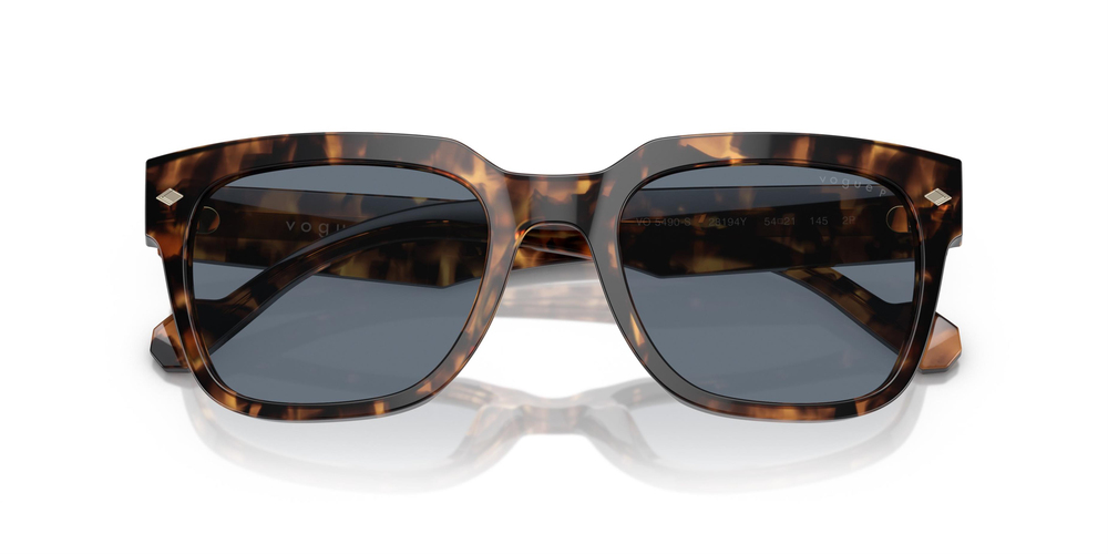 VOGUE 5490S 28194Y 54 UNİSEX Güneş gözlükleri