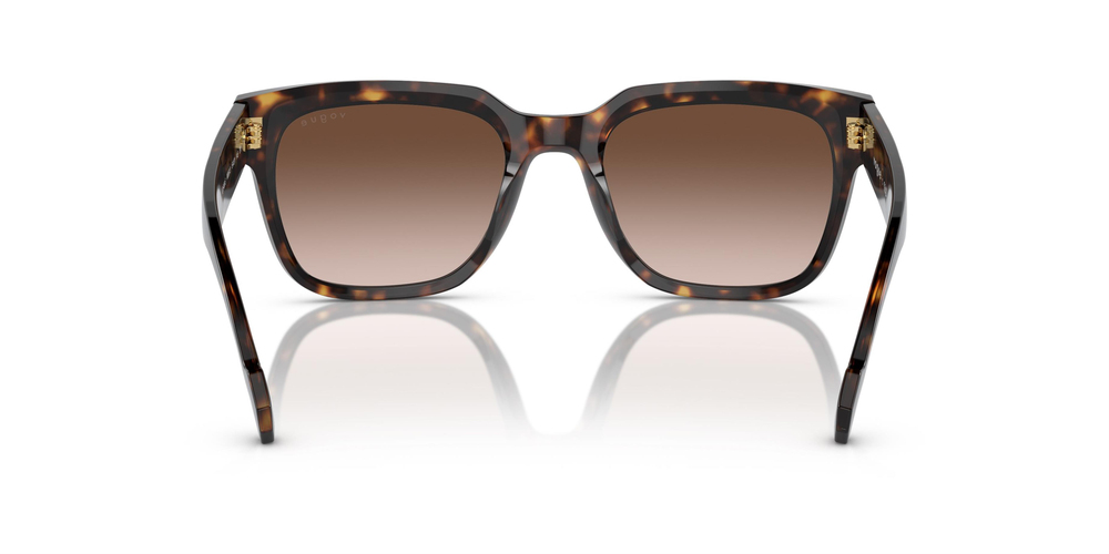 VOGUE 5490S W65613 54 UNİSEX Güneş gözlükleri