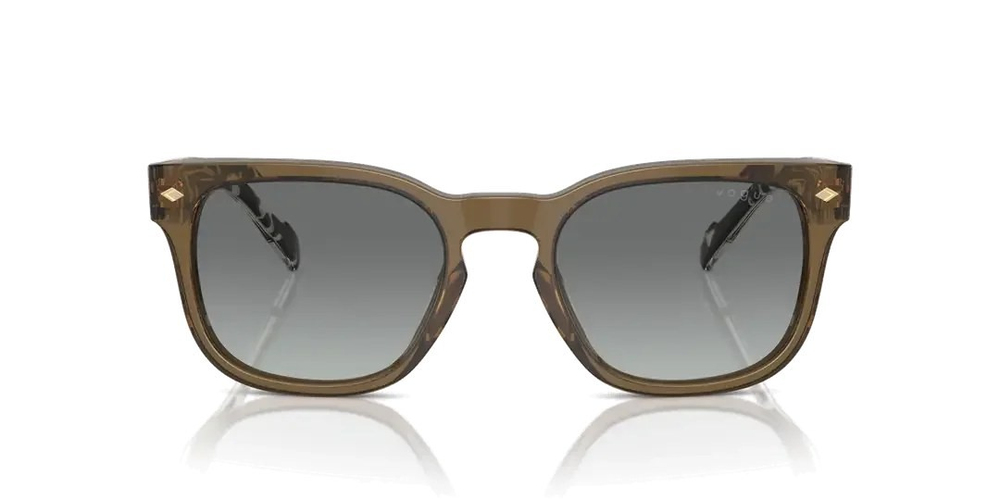 VOGUE 5571S 314411 53
