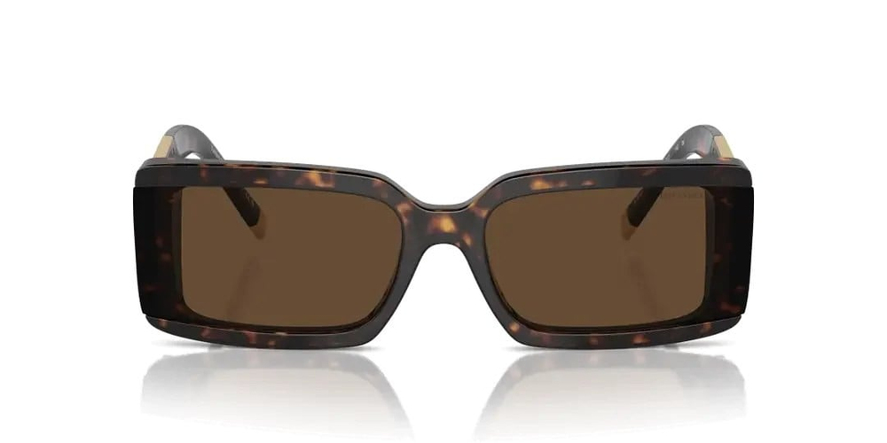 TİFFANY SUNGLASSES 4197 80153G 62