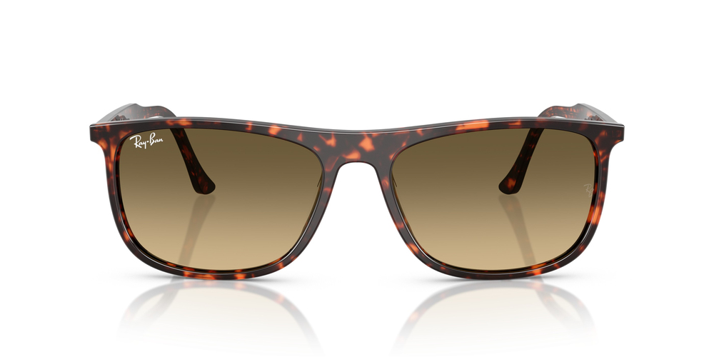 RAY-BAN 2216 14290A 58