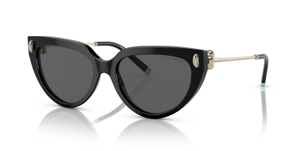 TİFFANY SUNGLASSES 4195 8001S4 54 Kadın Güneş Gözlüğü