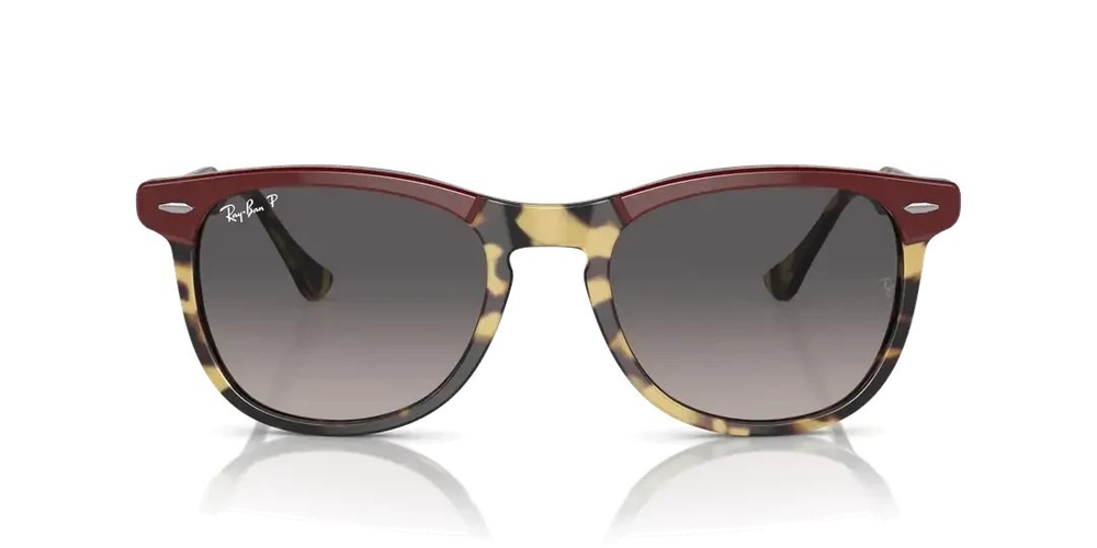 RAY-BAN 2398 1377M3 Eagleeye 56