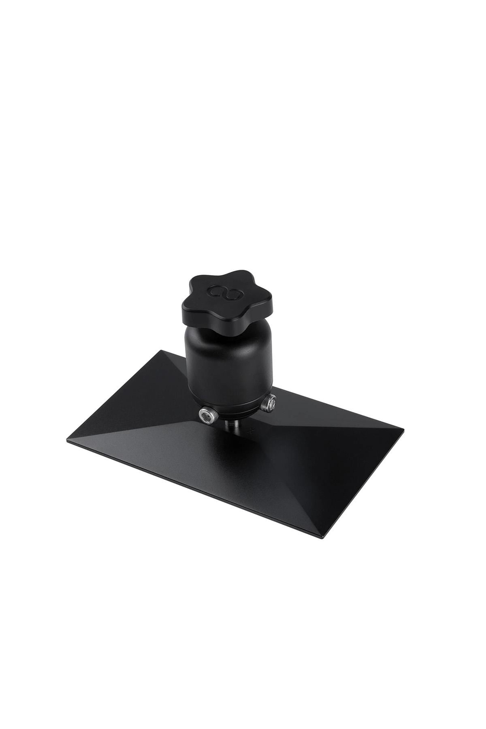 ELEGOO Mars 4 Build Plate
